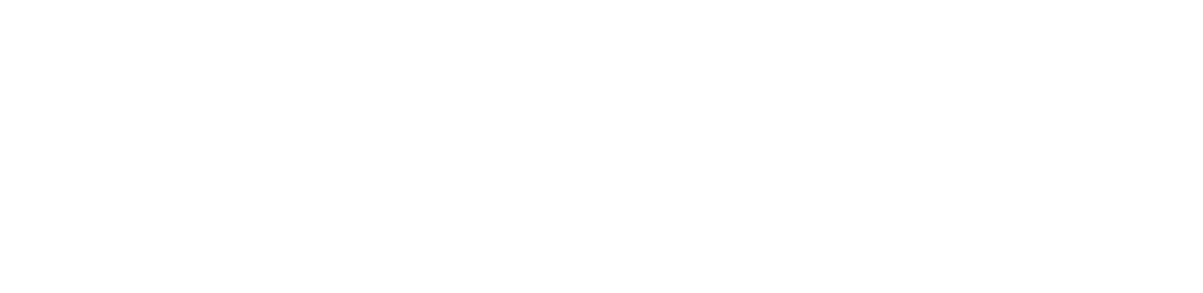 Octopus Logo